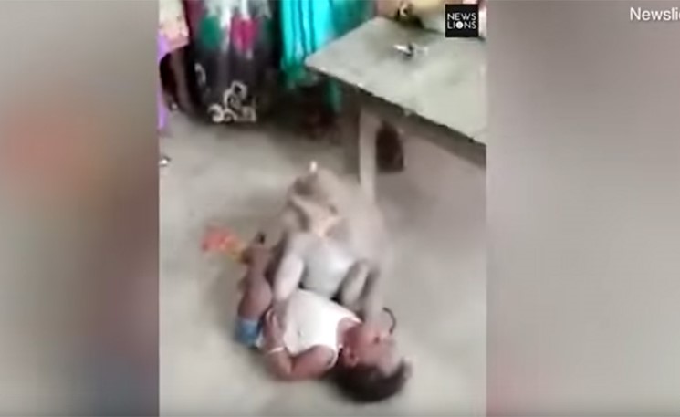 بالفيديو.. قرد يخطف طفلا من والديه ويهدد من يقترب منه!