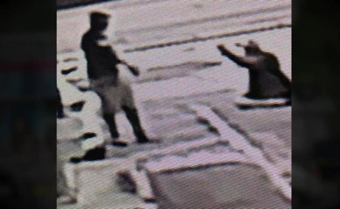 بالفيديو.. شجار على موقف سيارة يتحول لجريمة قتل في أميركا.. وجدل كبير حول حكم المحكمة فيها