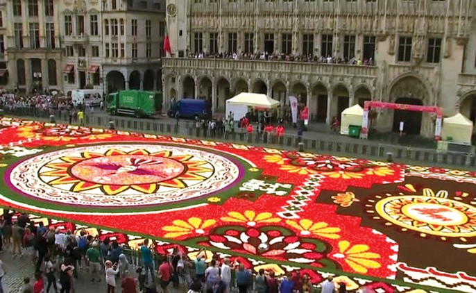 500 ألف زهرة في الميدان الرئيسي في بروكسل شكلت أروع سجادة ﻿