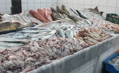صيد الأسماك بالمتفجرات يضرّ الإنسان والبيئة البحرية في ليبيا