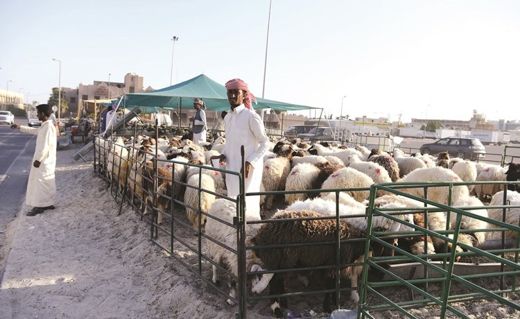 صفاة الغنم بالشويخ شهدت إقبالا كبيرا على الشراء أمس   (ريليش كومار)﻿