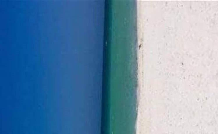 شاهد.. صورة تحير مستخدمي الانترنت.. باب أم شاطئ؟
