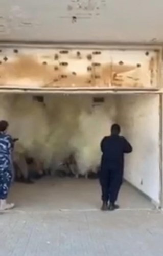صور من مقطع فيديو تم تداوله يوم أمس الأول لواقعة اطلاق الغاز على رجال القوات الخاصة لصقل قدراتهم القتالية﻿