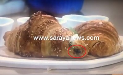 بالفيديو .. ذباب في برنامج للطبخ على شاشة التلفزيون الاردني يثير مواقع التواصل الاجتماعي