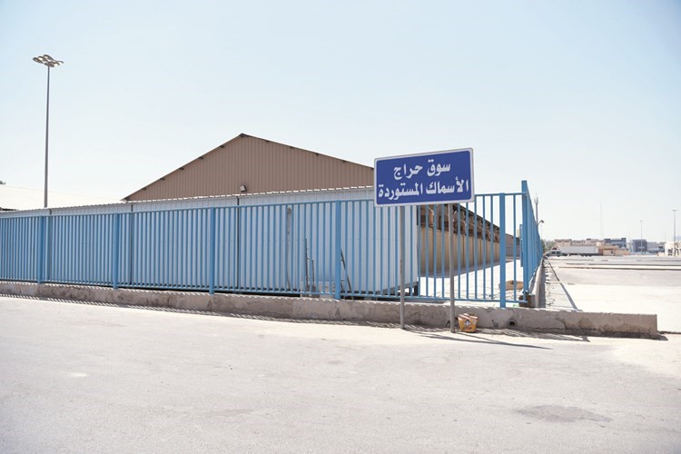 سوق السمك الجديد في منطقة الري	 (ريليش كومار)﻿