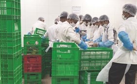 تجهيز الوجبات الغذائية لطلبة رياض الأطفال﻿