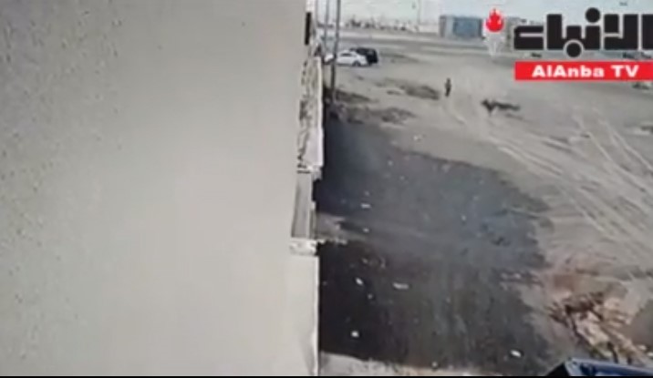 بالفيديو.. كلاب ضالة تهاجم طفلًا في أثناء عودته من المدرسة