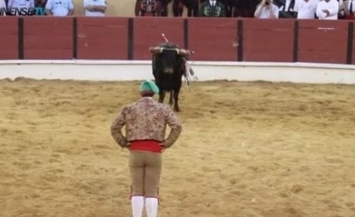 بالفيديو.. ثور يهاجم مصارع ثيران ويصيبه ويكاد يودي بحياته