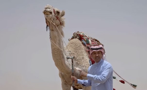بالفيديو.. هكذا كان يعامل العرب النساء المشاركات في الحروب