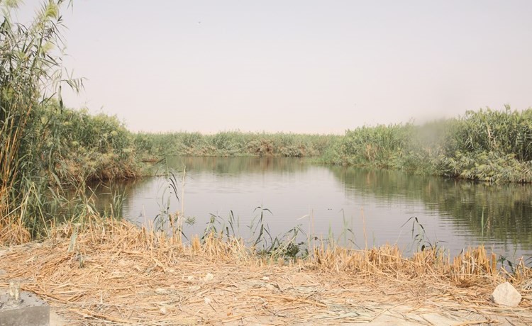 جانب من محمية الجهراء