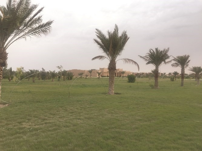 مساحات خضراء شاسعة لرواد القرية﻿