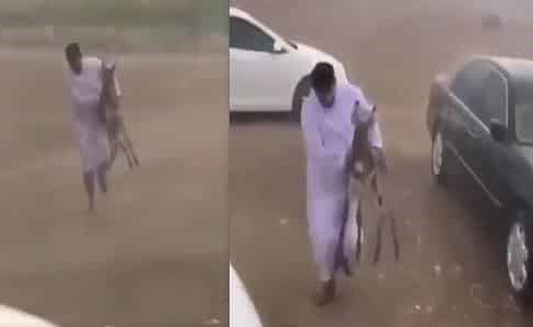 بالفيديو.. شاب ينقذ حمارًا من الأمطار الغزيرة