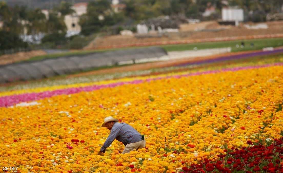 أستراليا تسهل شروط "الفيزا".. وتستهدف المزارعين
