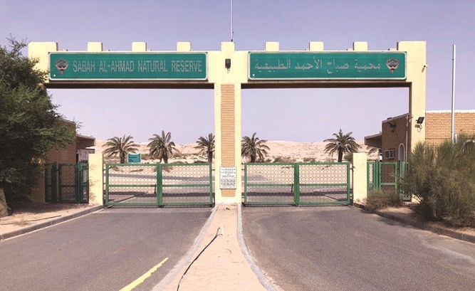 مدخل محمية صباح الأحمد﻿