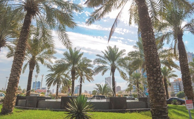 استقرار وتحسن في جودة الهواء بعد سقوط الأمطار ﻿
