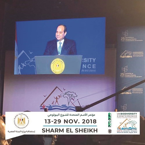 الرئيس عبدالفتاح السيسي ملقيا كلمته في الجلسة الافتتاحية لمؤتمر التنوع البيولوجي بشرم الشيخ امس﻿