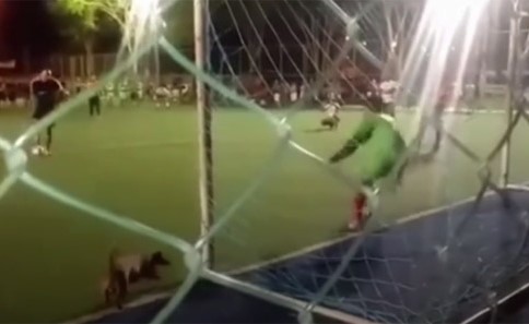 بالفيديو..  إهدار ركلة جزاء لسبب أغرب من الخيال