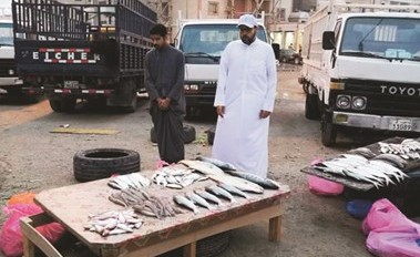 جانب من الأسماك المصادرة خلال الجولة﻿