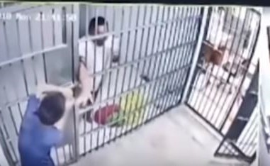 بالفيديو.. حيلة ماكرة للهروب.. سجين يستدرج الحارس ويحبسه في الزنزانة