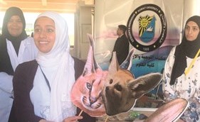 إحدى المشاركات ودعوة للحفاظ على الحياة البرية﻿
