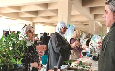 جانب من المعروضات﻿