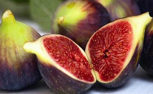 خبراء : "التين" ينافس أقوى العقاقير لعلاج العقم و الضعف الجنسي