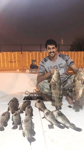 الصليلي: الهامور سمچته حيَّة.. والبالول ييمته ربيانة