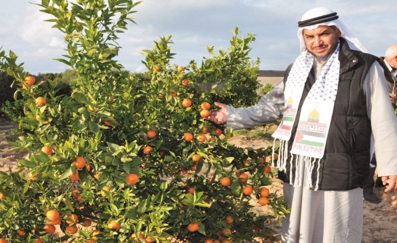 رئيس مكتب فلسطين في الرحمة العالمية د.وليد إبراهيم العنجري﻿