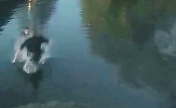 بالفيديو.. ضابط شرطة يقفز في قناة متجمدة لإنقاذ سيدة تغرق