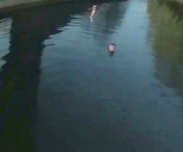بالفيديو.. ضابط شرطة يقفز في قناة متجمدة لإنقاذ سيدة تغرق