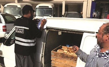 تحرير إحدى المخالفات في الجليب﻿