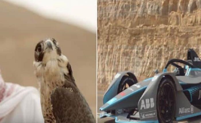 صقر الشاهين أسرع طائر بالعالم يسابق سيارة الفورميلا E في صحراء السعودية