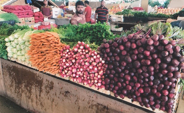 السبيعي: زراعة الخضراوات الورقية لا تقل أهمية عن الثمريات.. للمستهلكين جميعاً