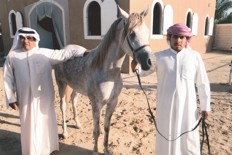 تربية الخيولهواية ممتعة ﻿