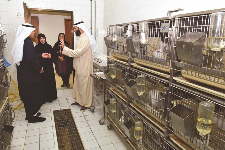 منازل الحيوانات لإجراء فحوصات على الادوية للتأكد من خلوها من المواد المسببة للحرارة﻿