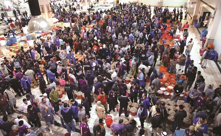 بالفيديو.. الروبيان يودِّع سوق الأسماك.. 120 ديناراً للسلة من الجامبو والكميات محدودة