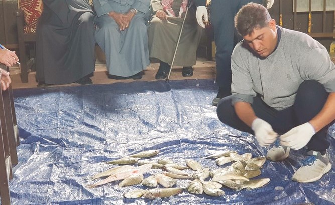 جانب آخر من عملية وزن صيد الأسماك للمتسابقين ﻿