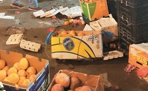 جانب من الخضراوات والفواكه في الأسواق العشوائية بالجليب ﻿