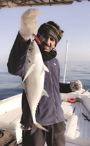 العوض: الشعم والنويبي حاضران والبالول بين فيلكا وعوهة