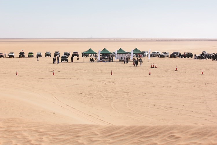 لقطات من الفعالية﻿