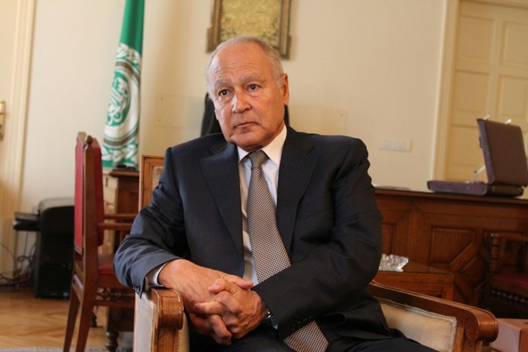 أحمد أبو الغيط