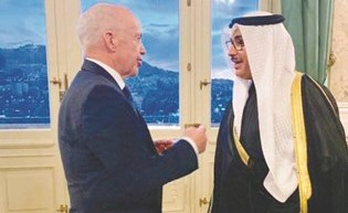 السفير بدر التنيب مع الرئيس السويسري اولي ماورر﻿