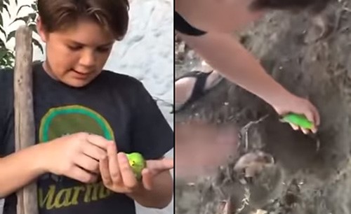 بالفيديو.. شاب أراد أن يدفن ببغاءه ولكن النهاية كانت غير متوقعة