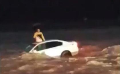 بالفيديو.. وسط صرخات الحاضرين "تشهّد".. مشهد حابس للأنفاس لشاب تجرفه السيول وتنقذه شجرة‎ في السعودية