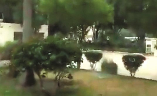 الحديقة التي ظهرت في مقطع الفيديو﻿