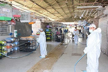 "الزراعة": إعدام الطيور المصابة بالإنفلونزا في سوق الري وإغلاقه حتى إشعار آخر