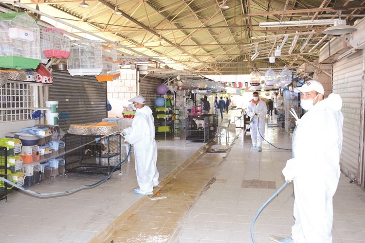 تنظيف السوق بعد إعدام الطيور المصابة ﻿