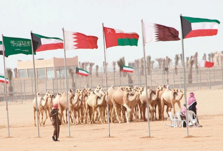 الناصر: 7 آلاف مشارك في مسابقات «الموروث الشعبي» لهذا العام