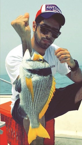 الفيلكاوي: الشعم ييمته الشريب