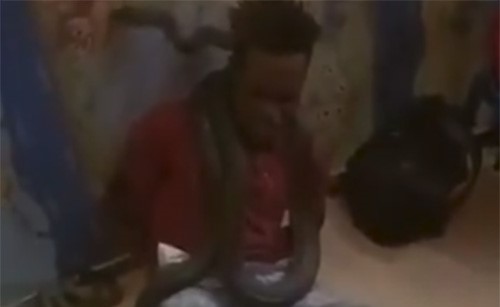 بالفيديو.. شرطي يروع متهماً بثعبان أثناء التحقيق معهه